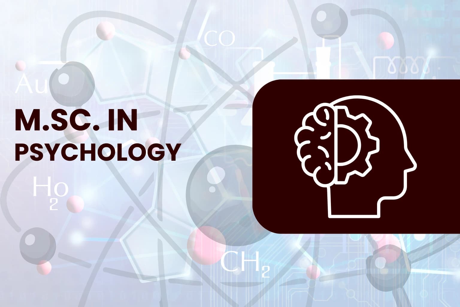 M.Sc. in Psychology