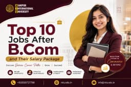 Top 10 Jobs After B. Com and Their Salary Packages
