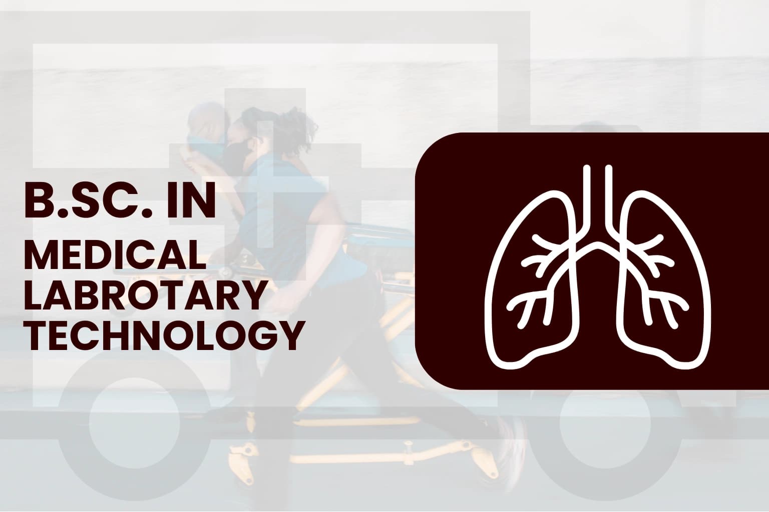 B.Sc. in Medical Laboratory Technology (MLT)